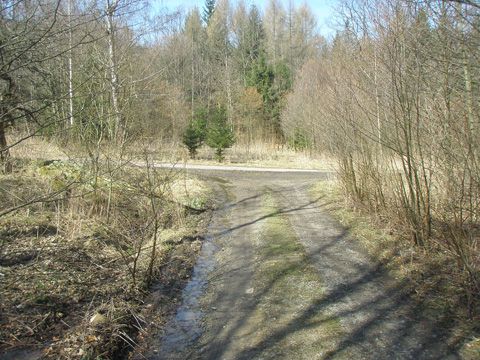 Foto 49